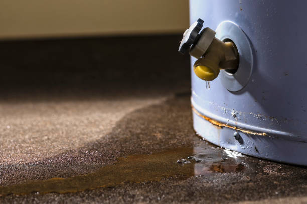 Best Sewage cleanup and water damage restoration  in Buenaventura Lakes, FL