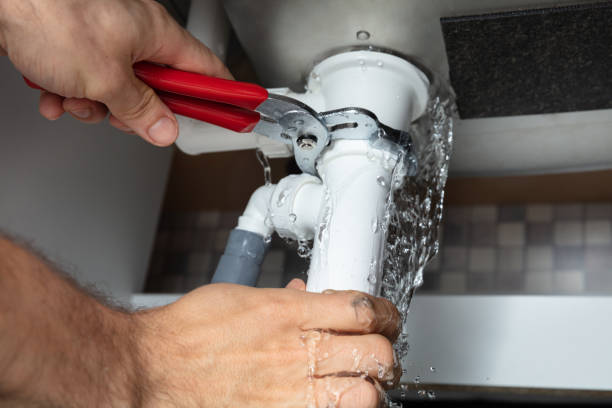 Best Fire Damage Restoration  in Buenaventura Lakes, FL