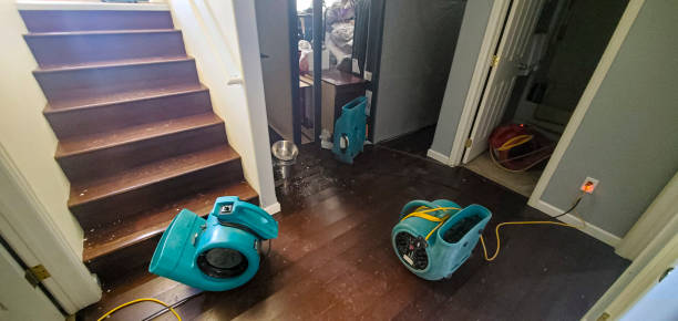 Best Flood restoration services  in Buenaventura Lakes, FL