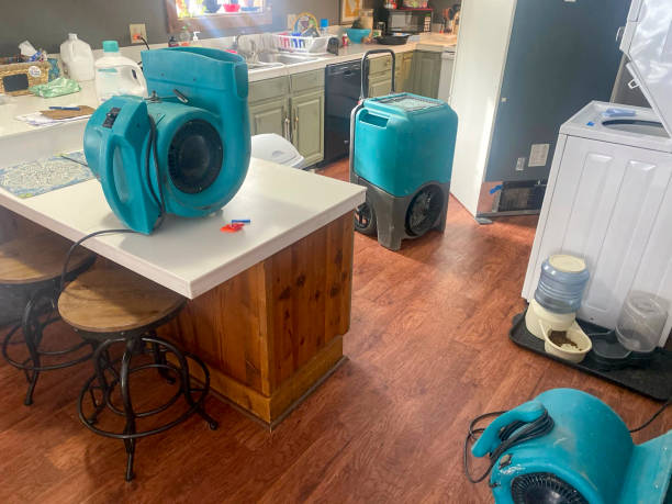 Best Carpet water damage restoration  in Buenaventura Lakes, FL