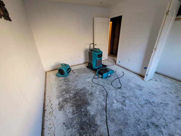 Best Water damage contractors near me  in Buenaventura Lakes, FL