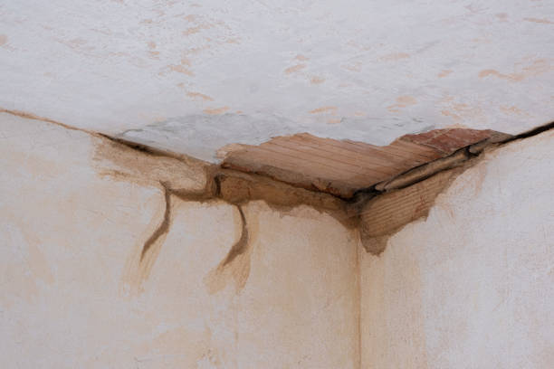 Best 24-hour water damage restoration  in Buenaventura Lakes, FL