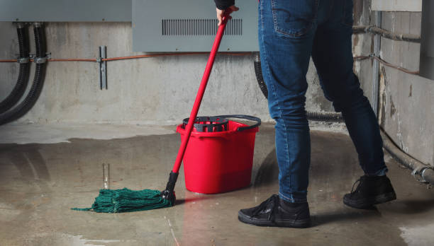 Professional Water damage restoration in Buenaventura Lakes, FL
