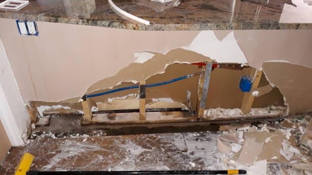 Best Flooded house restoration  in Buenaventura Lakes, FL