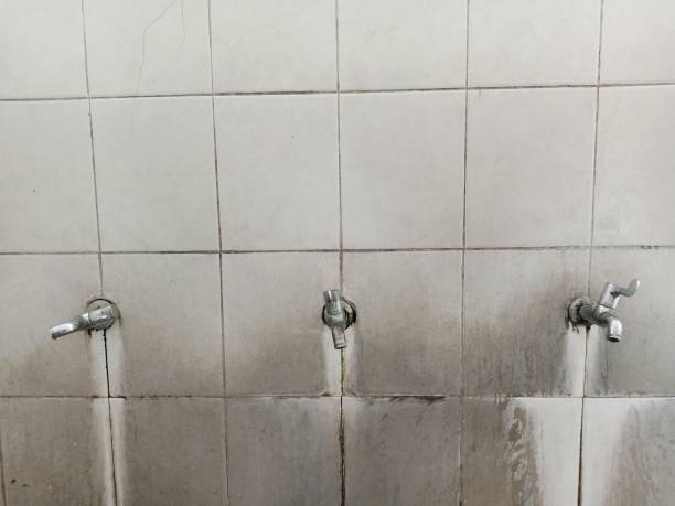 Best Flood damage cleanup  in Buenaventura Lakes, FL