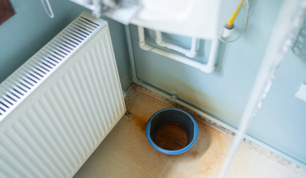 Best Water damage repair service  in Buenaventura Lakes, FL
