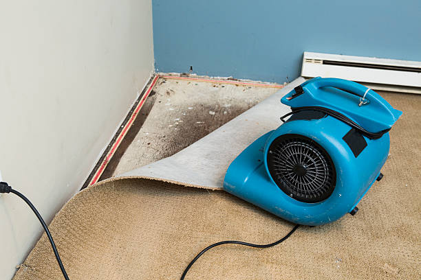 Best Commercial water damage restoration  in Buenaventura Lakes, FL